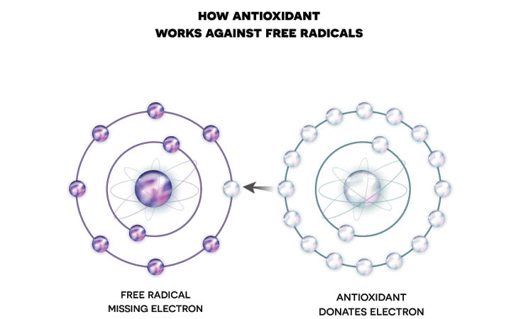 antioxidant-werkt-tegen-vrije-radicalen