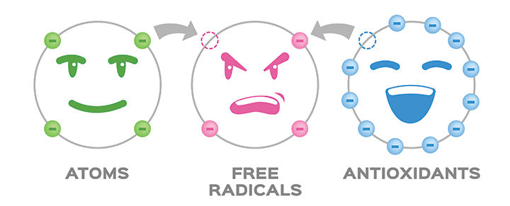 vrije radicalen en antioxidant vector en antioxidant doneren elektron aan vrije radicalen