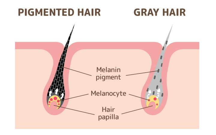 6 manieren om melanine op natuurlijke wijze in je haar te stimuleren